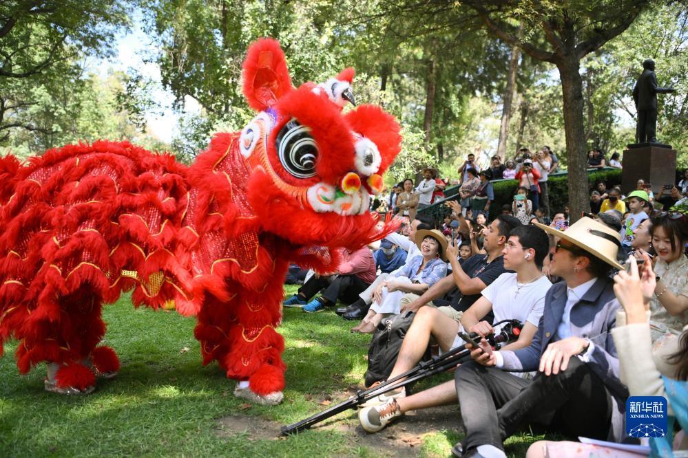 下载赌博的网